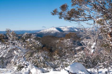4 Looking east torwards The Long Spur