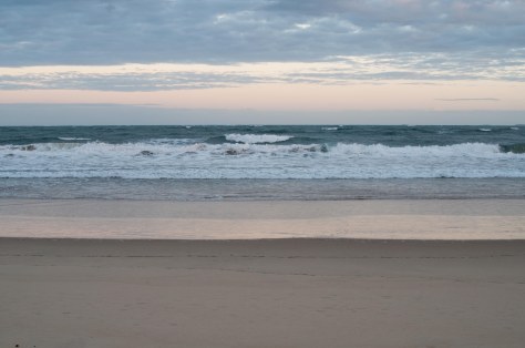 Snake Island Apr 2014-1