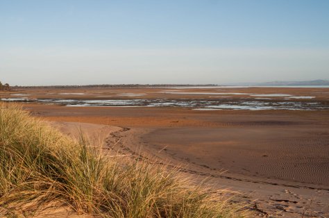 Snake Island Apr 2014-2