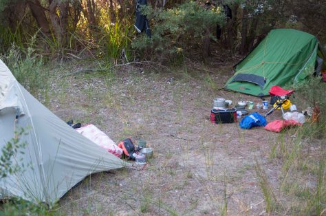 Snake Island Apr 2014-3