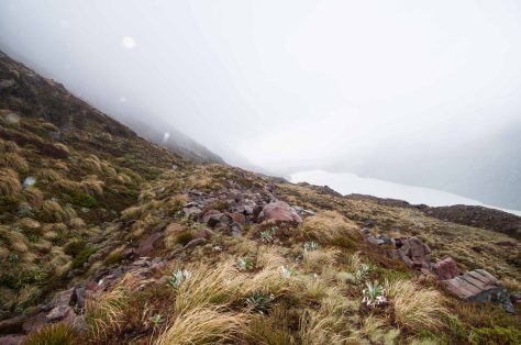 Ball Pass website -25