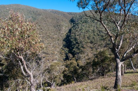 Snowy Bluff Sept 2014-4