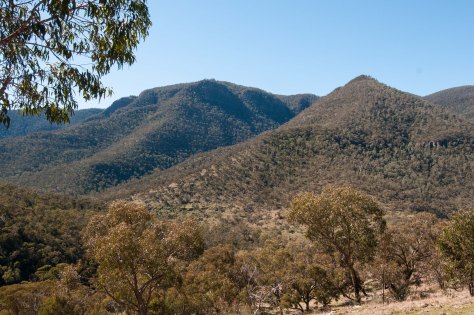 Snowy Bluff Sept 2014-5