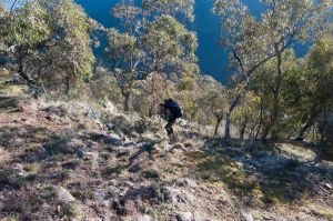 Snowy Bluff Sept 2014-6