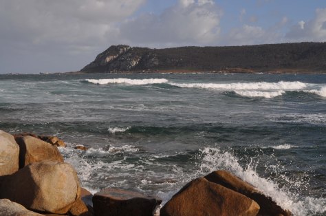Bass Strait 2015-24-Roydon Island