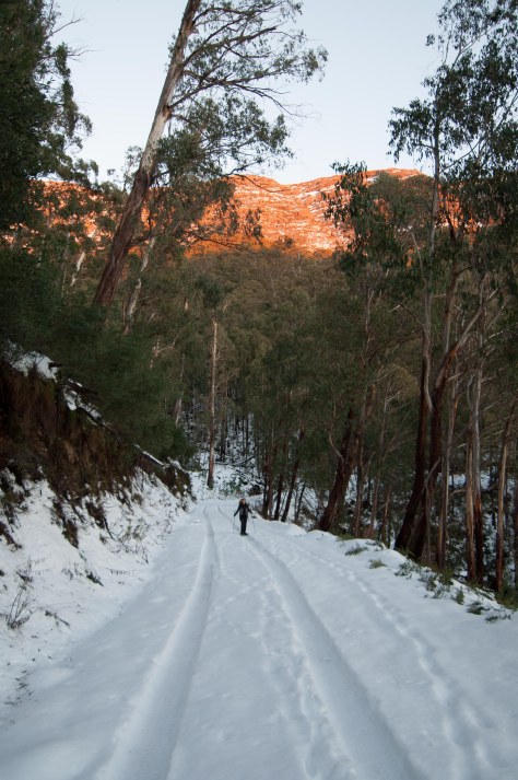 4 kilometres into our walk. 