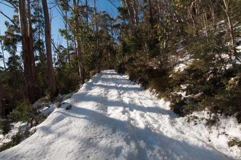 Not far to The Bluff hut. 