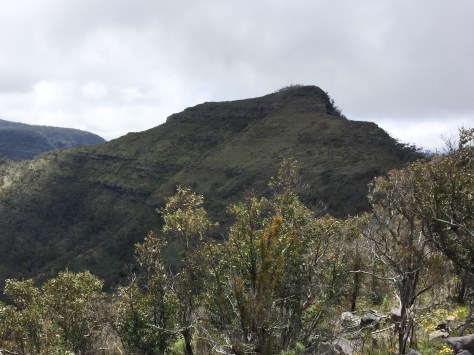 crinoline-circuit-nov-2016-1