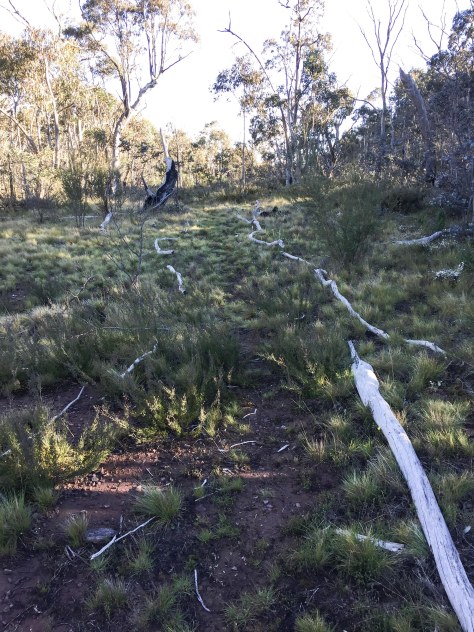 When there was a shortage of rocks someone had lined the track with dead branches!