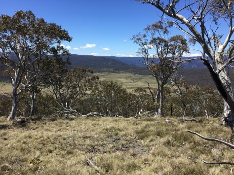 Bennison Plains and Shaws Creek in the background. From Mt Tamboritha. 