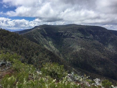 crinoline-circuit-nov-2016-3