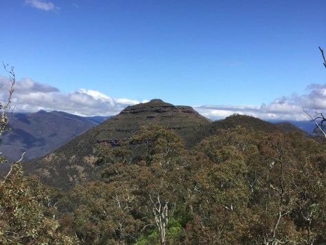 crinoline-circuit-nov-2016-4