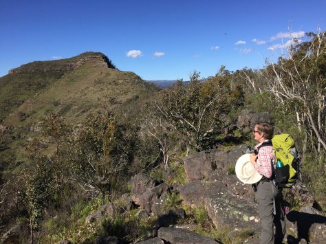 The Crinoline ahead.