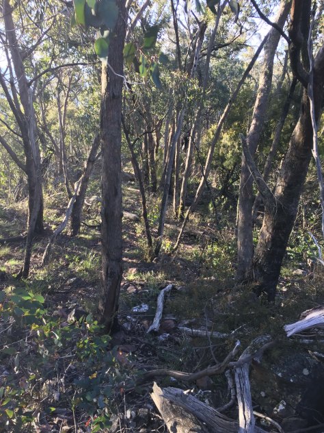 The route from The Crinoline to Long Hill. 